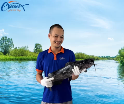 Cá lăng đen
