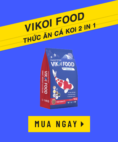 banner_coll_1_1_title