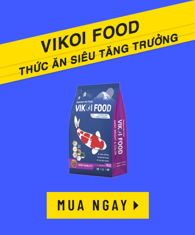 banner_coll_1_1_title