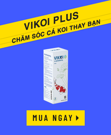 banner_coll_1_1_title