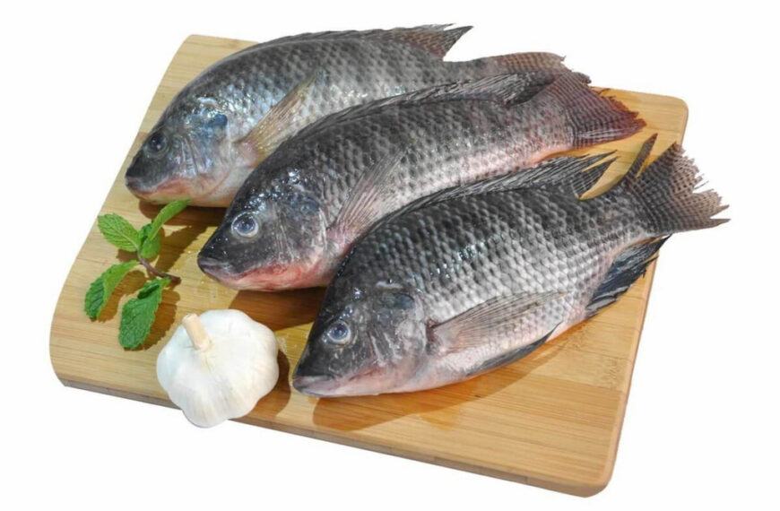 Cá rô là gì? Một số món ăn chế biến từ cá rô