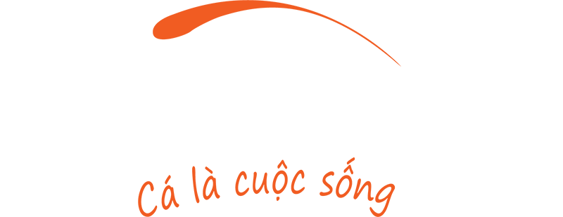 Chocavi