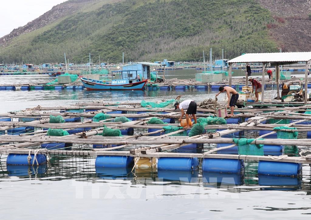Phát triển chuỗi liên kết giá trị trong ngành thủy sản Việt Nam