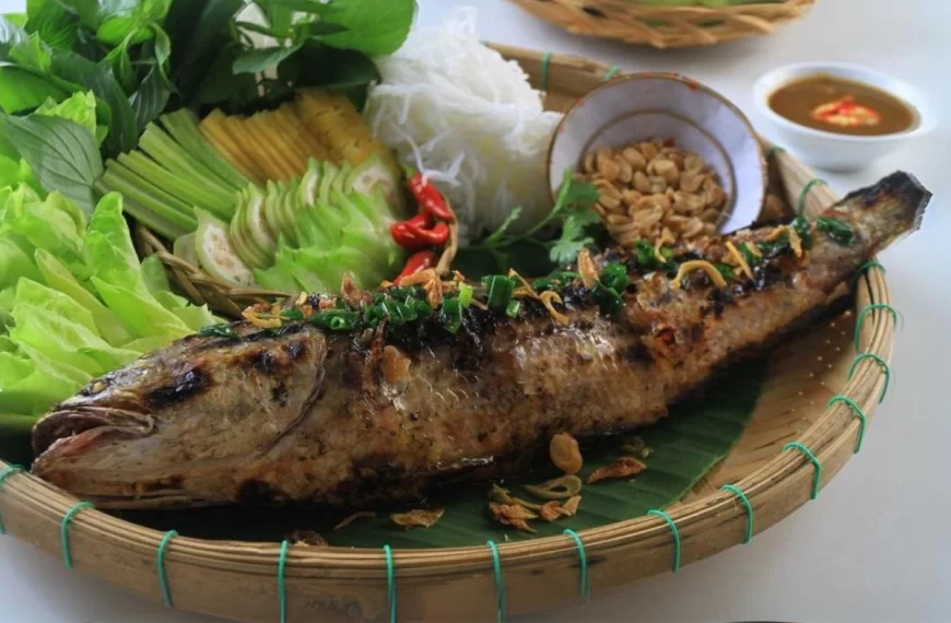 Cá Quả Và Những Công Dụng Tuyệt Vời Mà Bạn Có Thể Chưa Biết