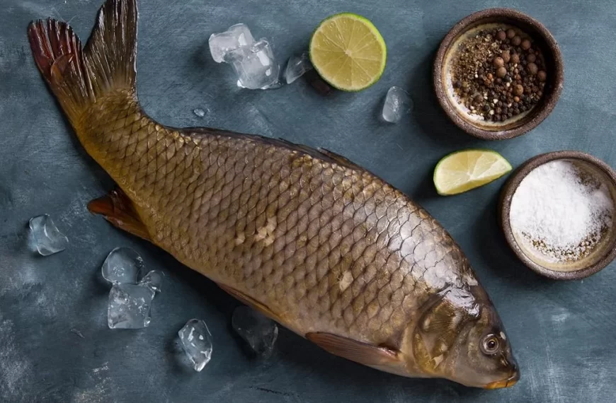 Các thiết bị máy móc hỗ trợ cho sơ chế và phi lê cá