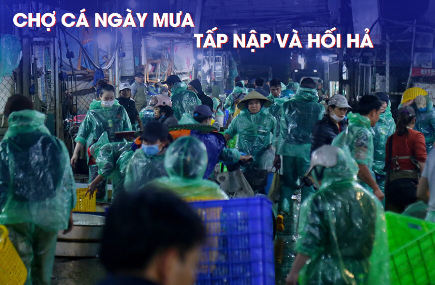 Chợ cá ngày mưa, tấp nập và hối hả.